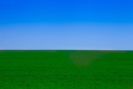 Green field Landscapeの写真素材