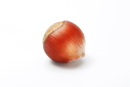 hazelnut isolated on white background の写真素材