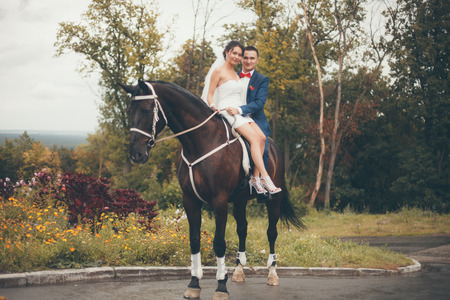 The bride and groom with horseの写真素材