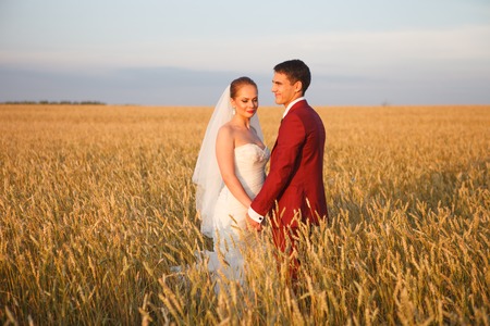 Bride and Groomの写真素材