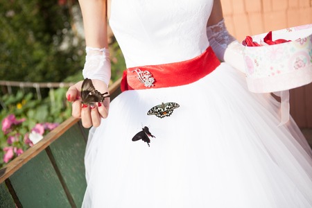 picture of beautiful woman with butterflyの写真素材