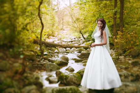 Beautiful bride. Wedding Day. Beautiful Happy womanの写真素材