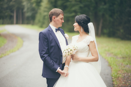 Newlyweds on Wedding Day. Bride and Groom.の写真素材