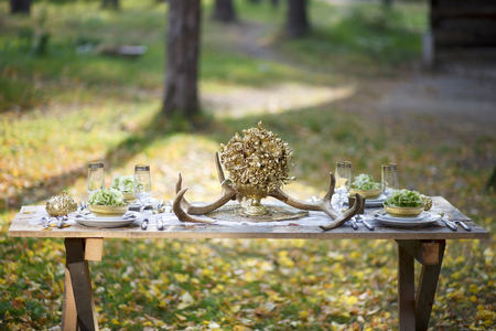 Wedding table with treats. Table  with decor and food on a green lawn in the park.の写真素材