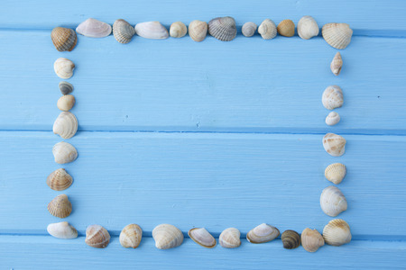Frame of sea shells on a blue wooden backgroundの写真素材