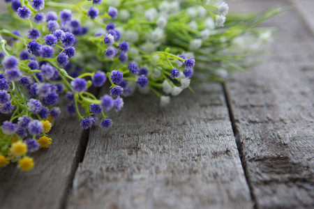 Wild flowers on wooden background. Mother's Day or Easter design. Springtime.の写真素材