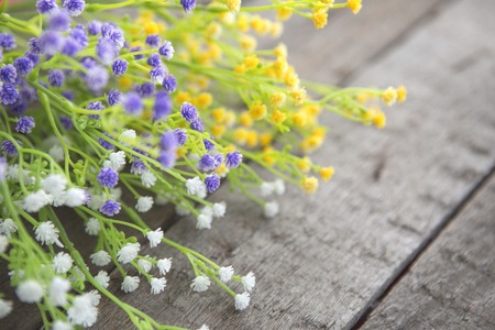 Wildflowers on the background of wood. Multicoloredの写真素材