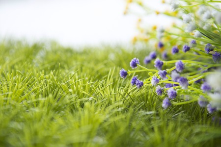 wild flowers onthe meadow. meadow on a hillside covered with wild flowers and grass.の写真素材