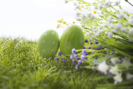 Easter eggs and daisies in the grass. Happy easter.の写真素材