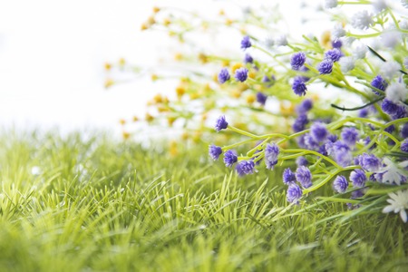wild flowers onthe meadow. meadow on a hillside covered with wild flowers and grass.の写真素材