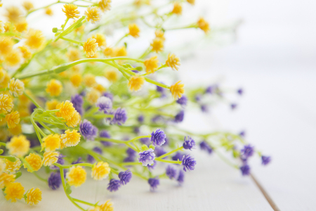 wildflowers on white wooden clear table backgroundの写真素材