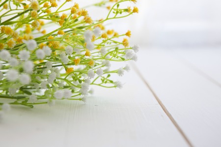 Spring Blossom flowers over clear wood background.の写真素材