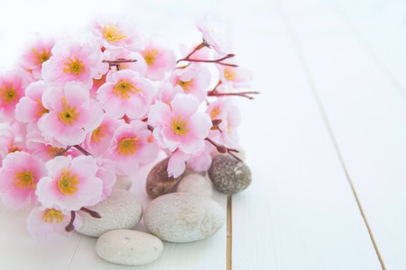 Spa stones with pink sakura flowers on white wood tableの写真素材