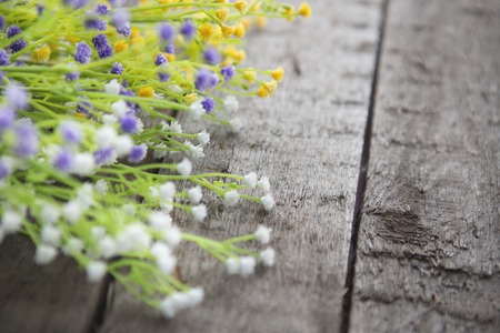 Wildflowers on the background of wood. Multicoloredの写真素材