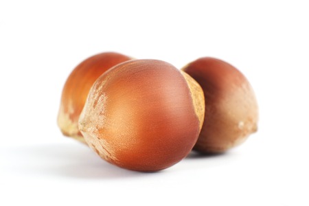 Three nuts filberts isolated on white background.の写真素材