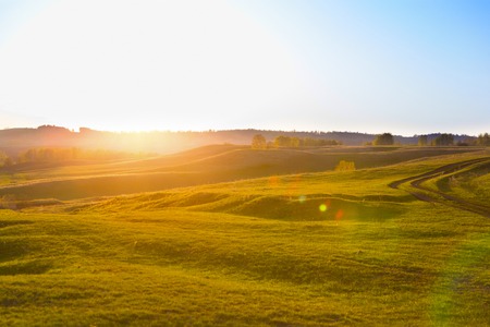 Sunset on the field. Composition of natureの写真素材
