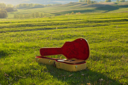 Guitar in case on grass. Summer or spring landscape.