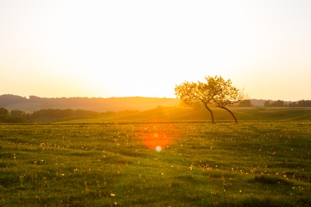 Fantasy African lanscape of the beautiful sunrise in savannahの写真素材