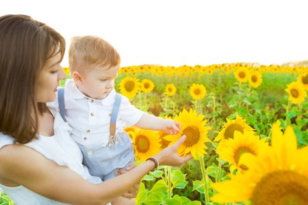Happy family with sunflowers having fun outdoors in summer field of sunflowers.の写真素材