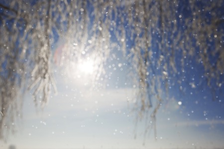 Close up of frozen branches and snow falling against blue sky. Christmas background.の写真素材