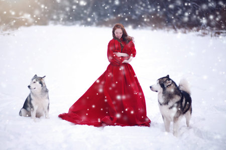 Woman on red dress with dogs. Fairy tale girl with Huskies or Malamute. Christmas.の写真素材