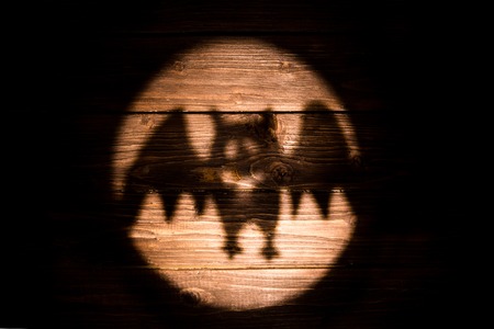 Silhouettes of bat right on wooden background for Halloween. Shadow.の写真素材