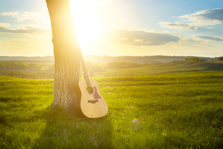 classical guitar propped against a tree trunk in the background grassの写真素材