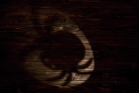 Big spider shadow on the wooden background. Halloween.の写真素材