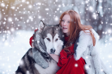 Woman on red dress with dogs. Fairy tale girl with Huskies or Malamute. Christmas.の写真素材