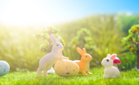 Cute Little Easter Bunnys in the Meadow. Spring Flowers and Green Grass. Sunbeams.の写真素材