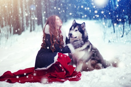 Attractive woman with the dogs. Huskies or Malamute.の写真素材
