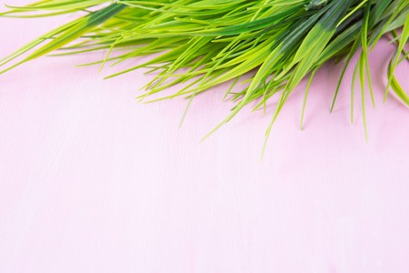 Green grass on a wooden pink table backgroundの写真素材