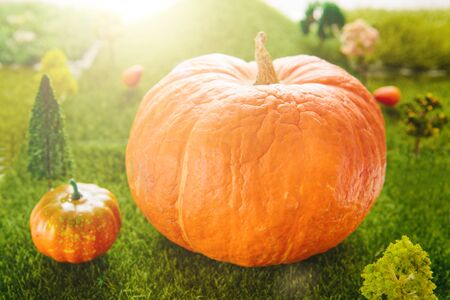 Orange plastic pumpkins on a green meadow with green grass. Macro shooting. Fairy tale.の写真素材