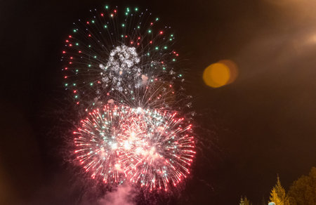 Fireworks against the dark sky. Celebrating New Year or Independence Day