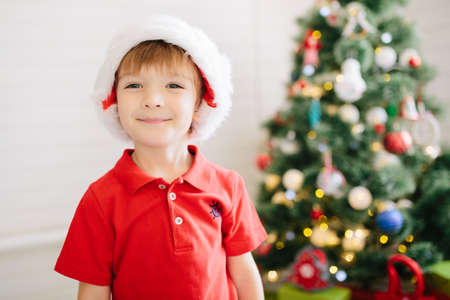 Cute little boy of about five year with a gift in a decorated Christmas room with a xmas treeの写真素材