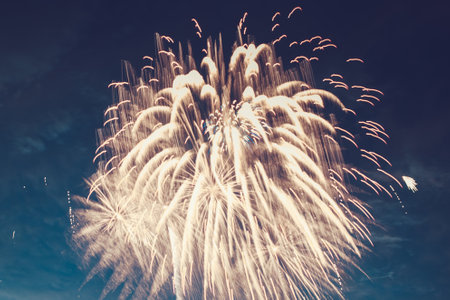 Beautiful fireworks for New Years, Independence Day or other holiday against the background of a dark sky.の写真素材