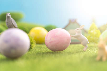 Easter egg outside in grass with evening sun from behindの写真素材