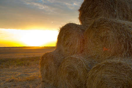 Hay-roll on meadow against sunset backgroundの写真素材