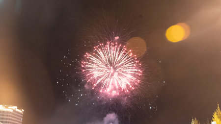 Fireworks against the dark sky. Celebrating New Year or Independence Day