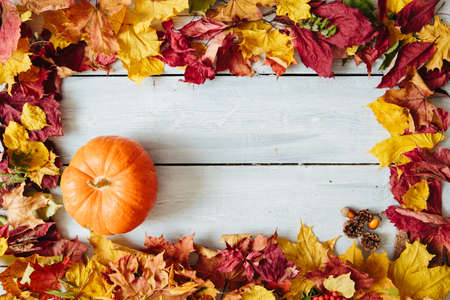 Frame from autumn leaves with pumplin on wooden background. Thanksgiving concept. View from above. Top view. Copy space for text and designの写真素材