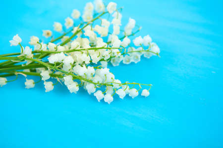 Wonderful fragrant white flowers with a delicate scent. lilies of the valley on a blue wooden backgroundの写真素材