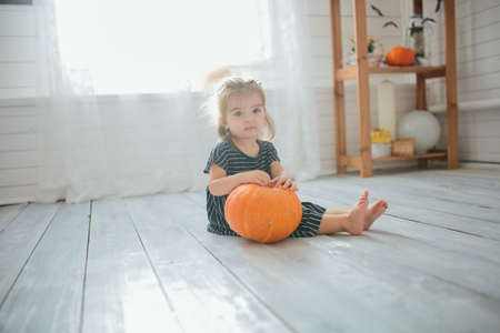 Family has fun in Halloween time Happy Halloween conceptの写真素材