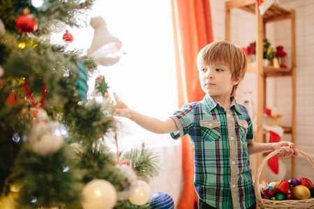 Cute Boy decorate the Christmas treeの写真素材