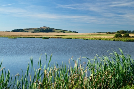 The pond in the meadow, cornfield in the background and the Mountainの写真素材