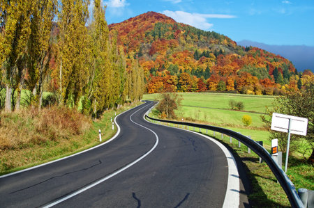 The empty road towards the wooded mountain flamboyant of colours autumn, from one side of the road...