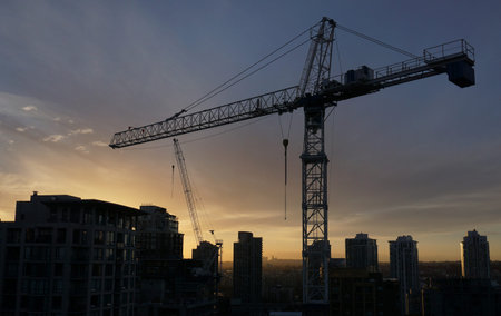 Crane at Dawn