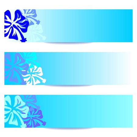 floral banner with HIBISCUS flower in blueの写真素材