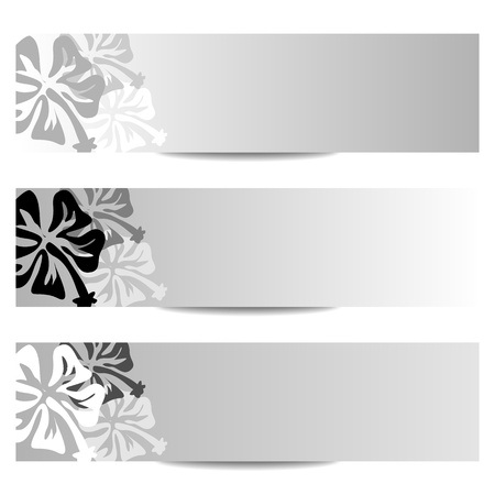 floral banner with HIBISCUS flower in grayscale の写真素材
