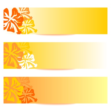 floral banner with HIBISCUS flower in orangeの写真素材