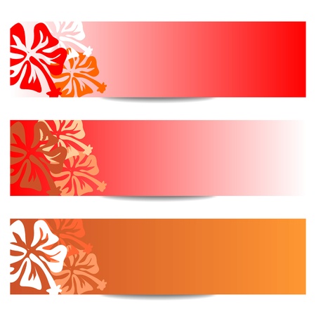 floral banner with HIBISCUS flower in redの写真素材